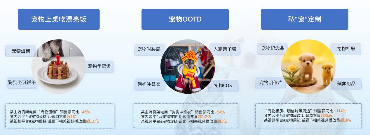 2025年宠物生意的机会点四：宠物仪式感消费
