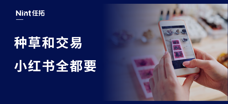 小红书入局了